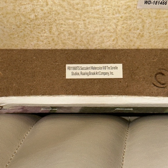 Tre Sorelle Studios "Succulent Watercolor" Painting Print 8" Stretched Canvas GU - Picture 14 of 14